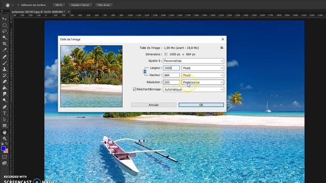 N°17 Cours PHOTOSHOP : Taille d'images et formats de fichiers смотреть онлайн