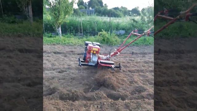 Культивирую участок под сидераты. Мотоблок Fermer 16 HP смотреть онлайн
