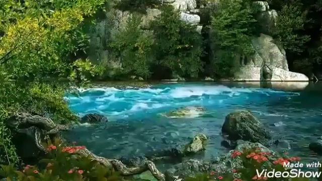 Природа, река, музыка смотреть онлайн