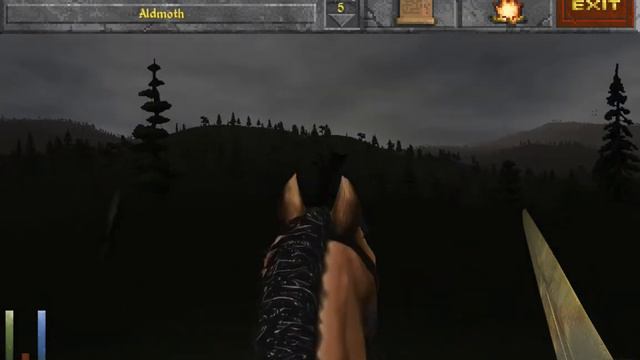 Daggerfall Ambience - A Journey in the Wrothgarian Mountains (Elder Scrolls, Part II) смотреть онлайн