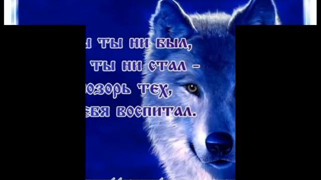 Волчьи законы #3 смотреть онлайн