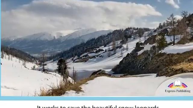 Excel 9 module 4 Volunteering смотреть онлайн