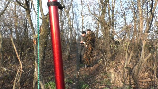 Мешок дроздов за раз! Ловля певчих и черных дроздов! смотреть онлайн