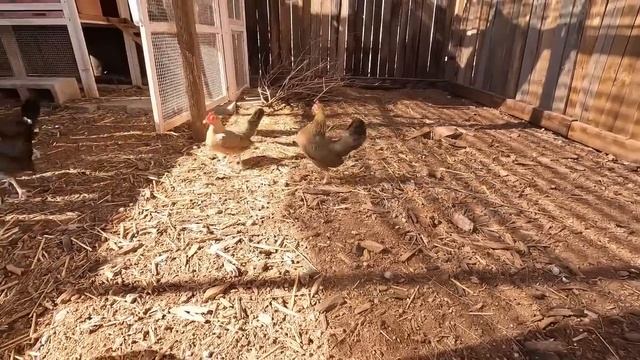 IT Caved In!  The Aftermath Of A Brutal Storm