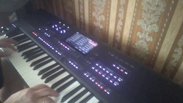 Medeli Akx10 Style Convertet:CCCatch_Icanlose My Hearth