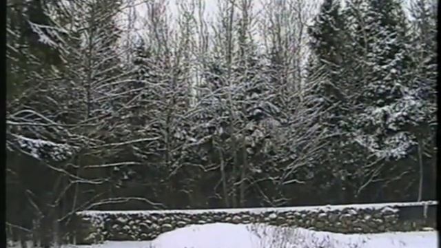 Барановичи   1996 год