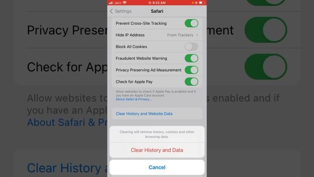 How To Delete Safari Search History On Iphone Ipad | 2022 смотреть онлайн