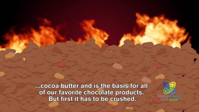 Where Does Chocolate Come From? смотреть онлайн