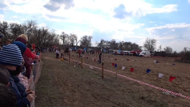 Показательные выступления конно-спортивной школы г Калач-на-Дону. Часть 4. смотреть онлайн