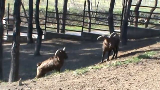 M2U00270.MPG смотреть онлайн