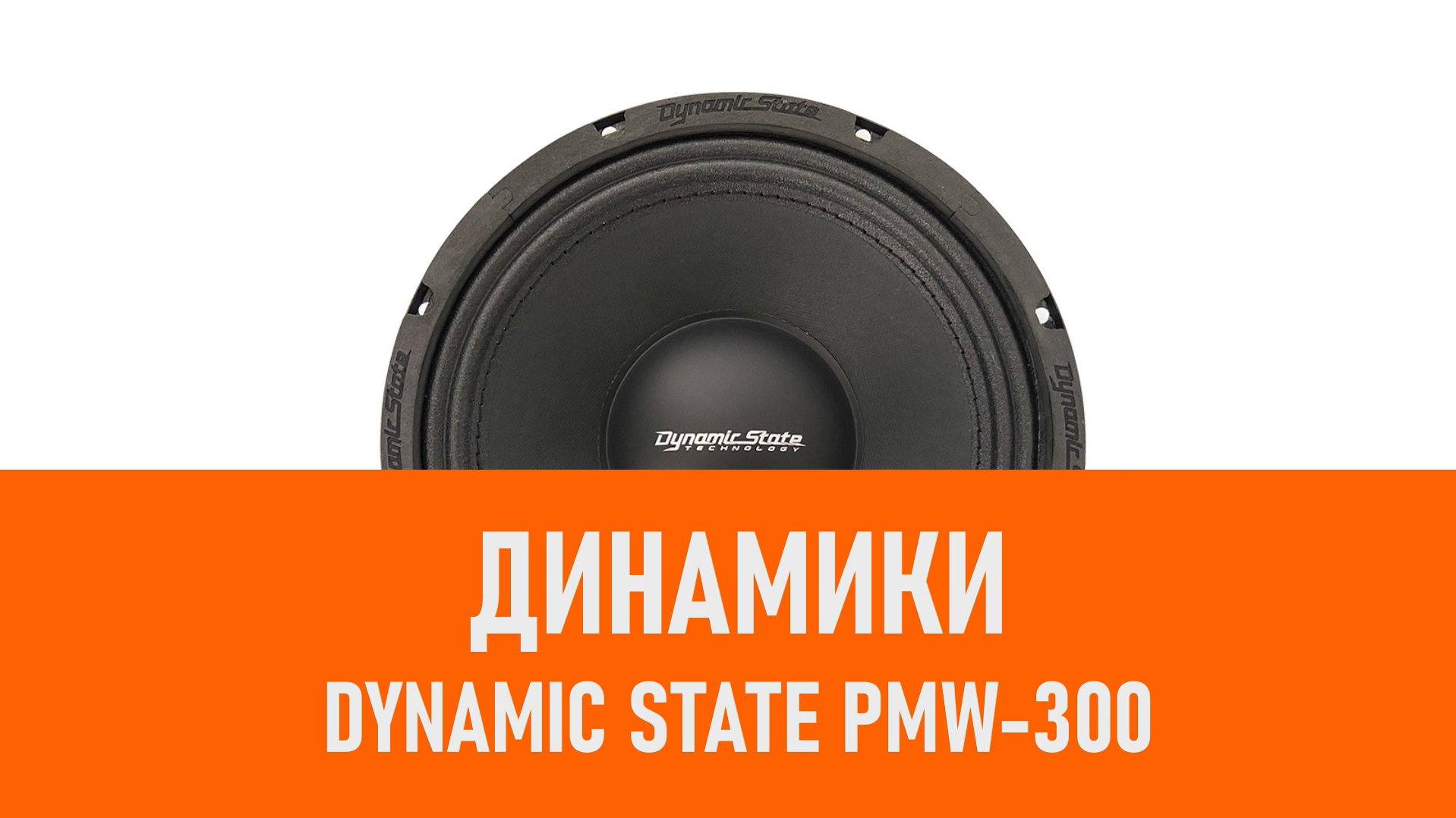 Распаковка динамиков Dynamic State PMW-300 смотреть онлайн