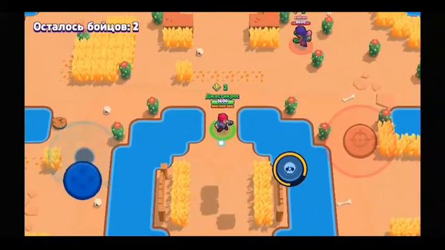 BRAWL STARS - ЦЕЛЫХ 3 ПОБЕДНЫХ КАТКИ! ИГРАЮ ЗА НИТА,КОЛЬТ,ШЕЛЛИ смотреть онлайн