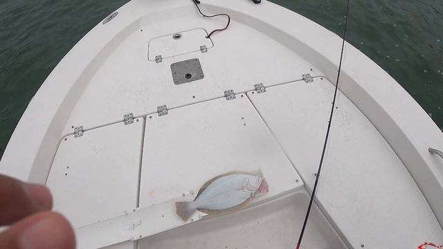 ** Crazy Winds ** Flounder Season Texas Coast смотреть онлайн