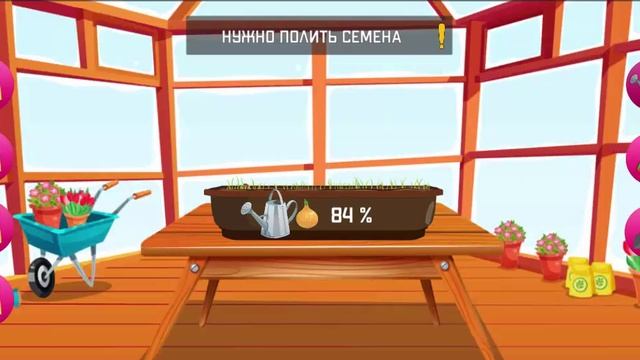 Растим котенка, сажаем и выращиваем растения