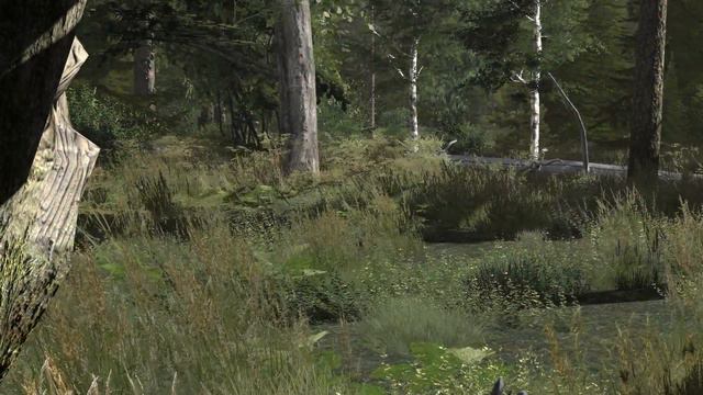 WOG ArmA 2 - Большая птица смотреть онлайн