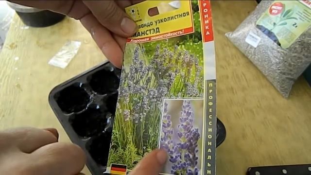 Ландшафтная эстетика