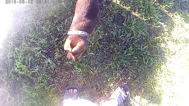 НОВОАЛЕКСАНДРОВКА и Щенок Берта !)