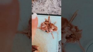 Натуралка / пудель Бакс / натуральная еда для собак