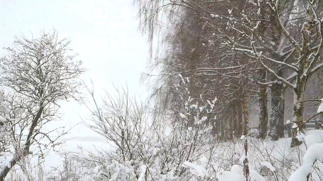 Фон для выступления смотреть онлайн