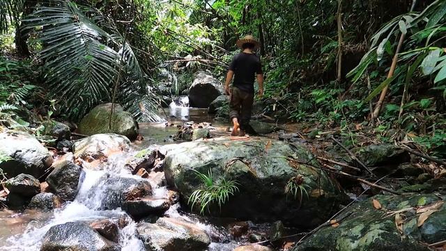 Survival Challenge - Survival Alone in the Rainforest | EP.63 - Fish trap, shrimp trap смотреть онлайн