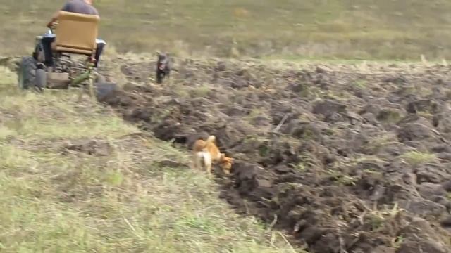 ПЛУГ ДЛЯ МОТОБЛОКА СВОИМИ РУКАМИ, ИСПЫТАНИЯ. смотреть онлайн