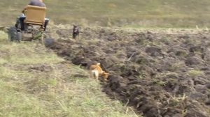 ПЛУГ ДЛЯ МОТОБЛОКА СВОИМИ РУКАМИ, ИСПЫТАНИЯ.