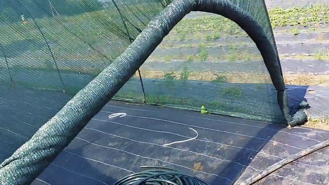 Рассадник из арматуры, быстро и надёжно смотреть онлайн