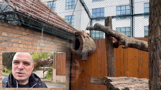 Белградский зоопарк | Что посетить в Белграде смотреть онлайн