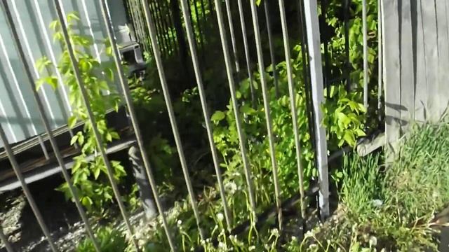 Брянск микроволновые излучатели 40-60 ГГц смотреть онлайн