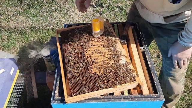 Надо ли ставить трутневые рамки в апреле 12 от 19.04.23 часть 2 смотреть онлайн