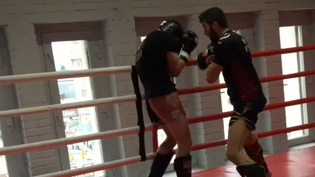 26 августа 2017 г. Спарринги по субботам в 