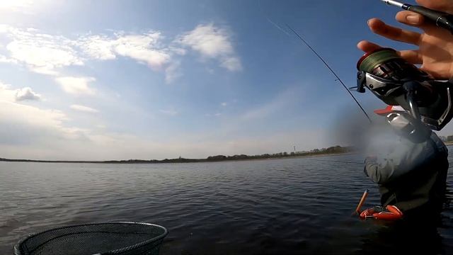 Как ловить тилапию на спиннинг | Ядерная рыбалка | Ловля на микроджиг в Нововоронеже смотреть онлайн