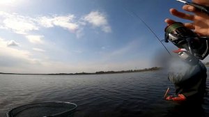 Как ловить тилапию на спиннинг | Ядерная рыбалка | Ловля на микроджиг в Нововоронеже