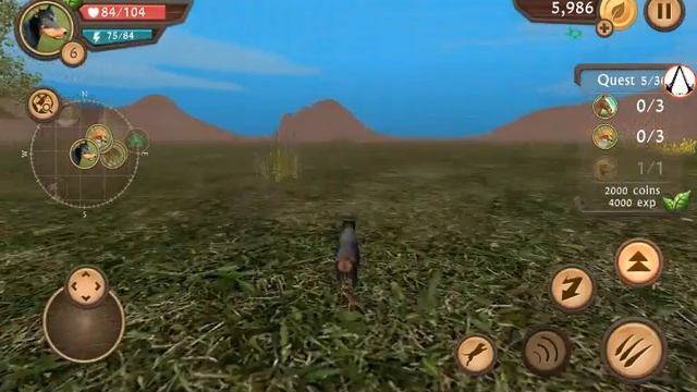 Dog  Sim  #2