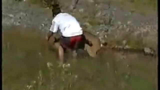 кавказский баран смотреть онлайн