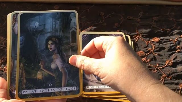 Heal Yourself by Inna Segal | Flip-Through Card Review смотреть онлайн