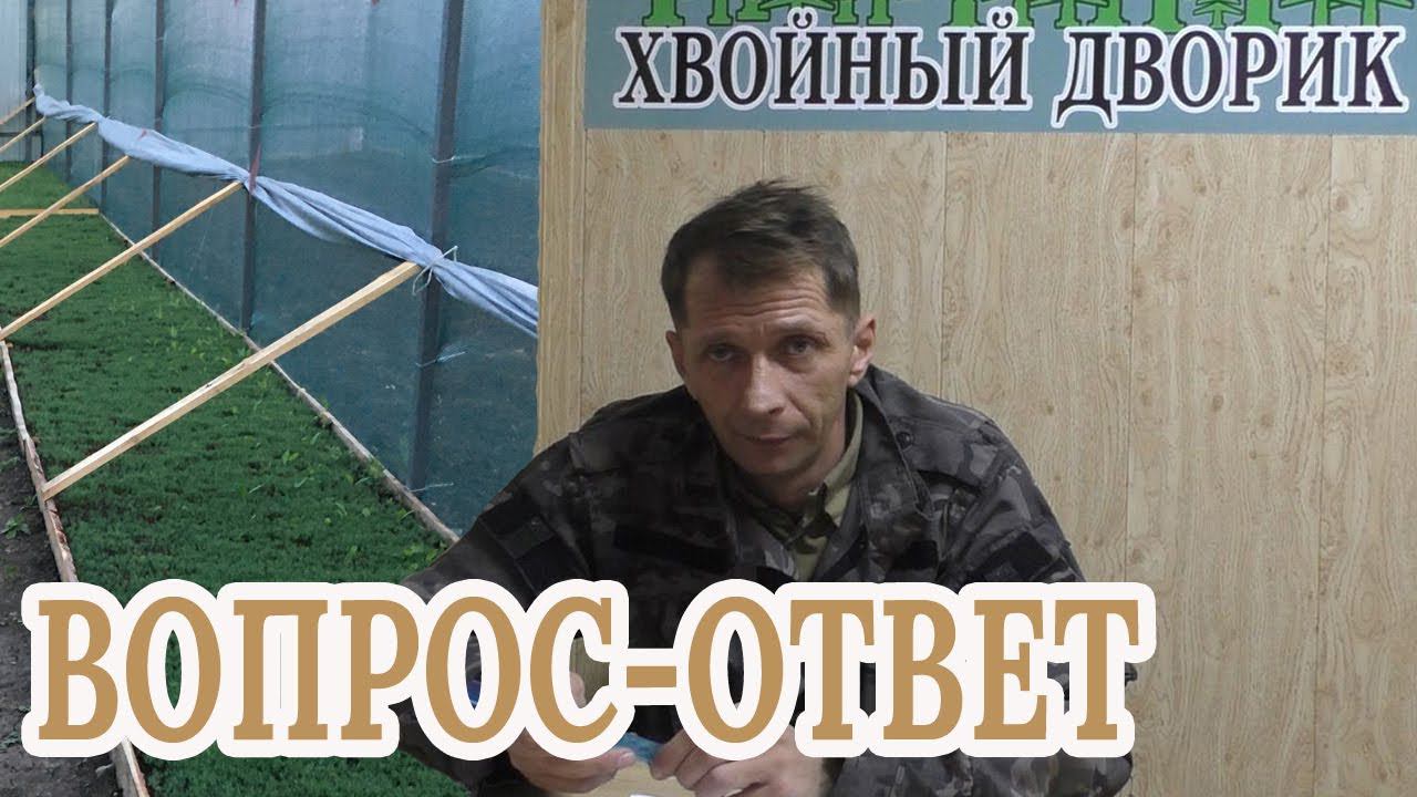 Вопрос-ответ,новый плейлист на нашем канале питомника "Хвойный дворик" смотреть онлайн