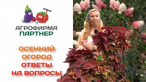Осенний огород - ответы на вопросы