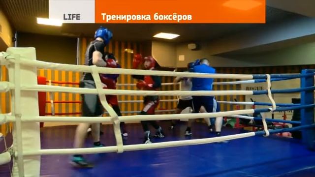 Тренировка боксёров смотреть онлайн