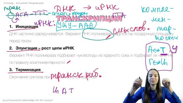 Биосинтез белка | Биология с Юлианой Покровской ЕГЭ 2021 смотреть онлайн