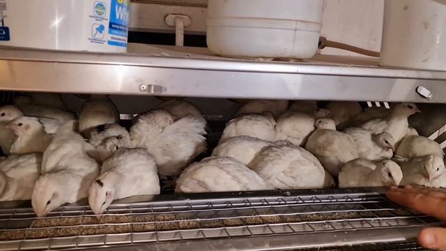 ты это, заходи если что) смотреть онлайн
