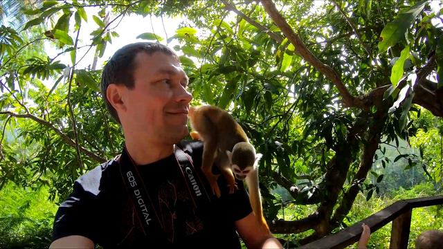 Доминикана экскурсия Манки Лэнд/Dominicana. Samana. Monkey land. смотреть онлайн