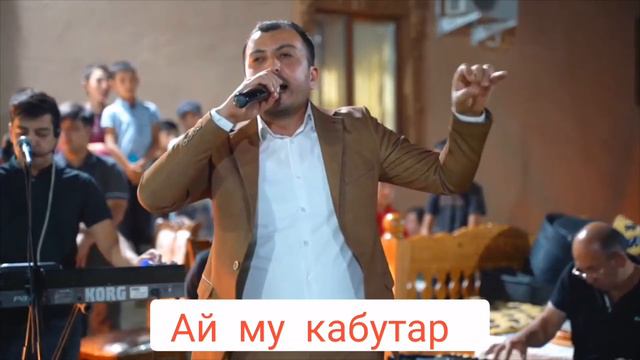 Дамирбек Олимов Damirbek Olimov суруди помири Ай му кабутар