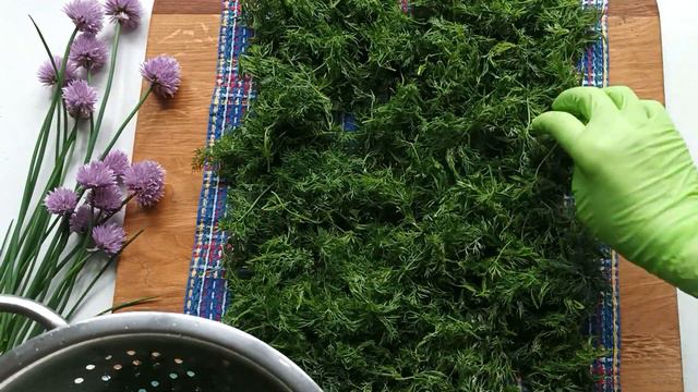 Як правильно заморозити КРІП. Заготівля зелені на зиму смотреть онлайн