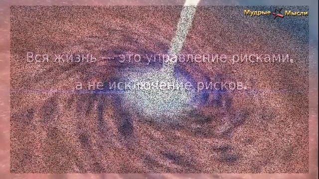Цитаты и фразы о риске смотреть онлайн