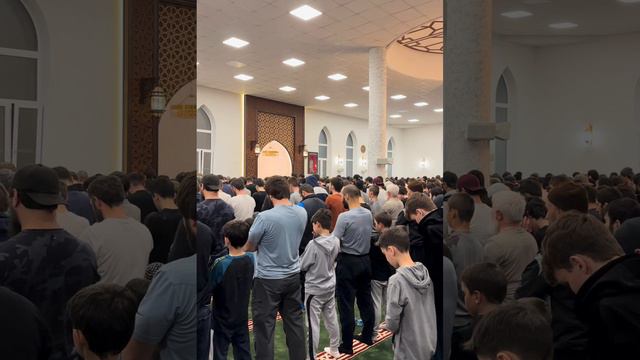 Хафиз с Костека смотреть онлайн