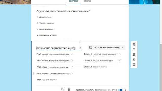 Гугл форма (тест по теме "Анатомия человека") смотреть онлайн