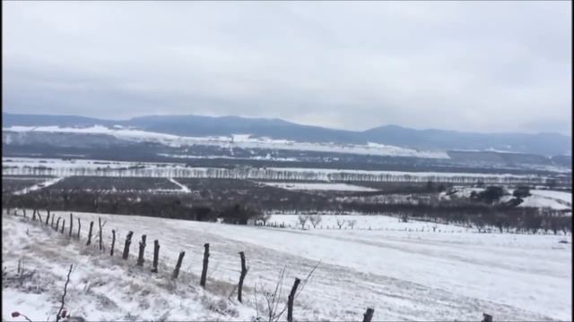 Русская гончая Гай вл. Беслан Черкесов г. Нальчик смотреть онлайн