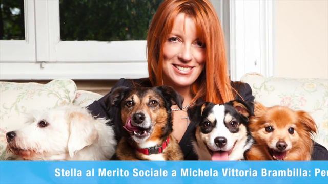 STELLA AL MERITO SOCIALE 2015 ALL' ON. MV BRAMBILLA смотреть онлайн