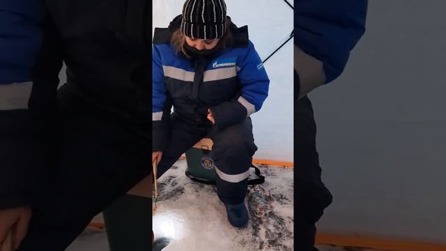 Рыбалка на озере Котокель, дубль два?? смотреть онлайн